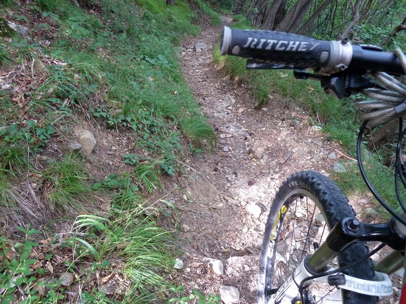 Mtb singletrail pfalz