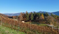Wandern -> Soell Graun 2012