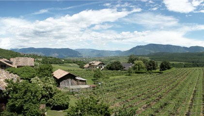 Vista su Pianizza di Sopra