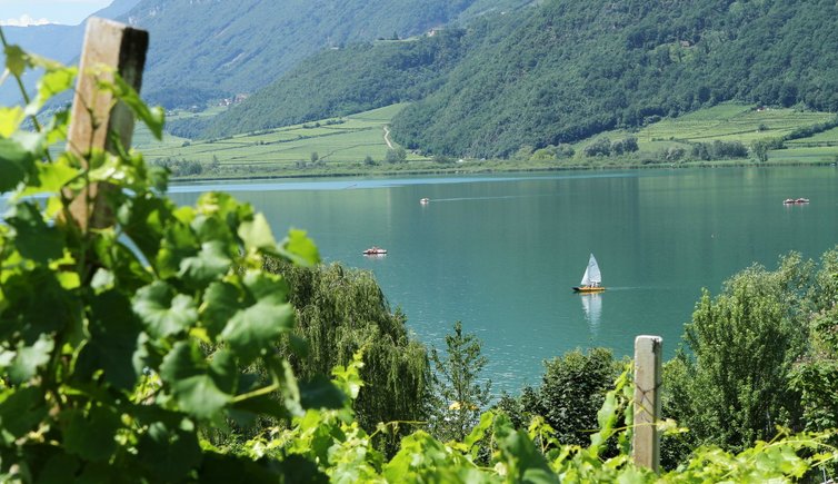 Klima und Wetter am Kalterer See - Kaltern und Tramin - Kalterer See ...