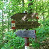 montiggl montiggler wald schaeufelewiesenweg nr wegweiser