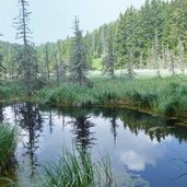 trudner horn lago bianco weisser see weissensee