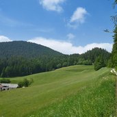 salurn ortsteil gfrill cauria hoefe bei gfrillner sattel und weg