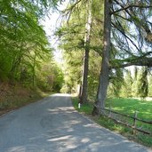 kurtatsch strasse bei fennhals