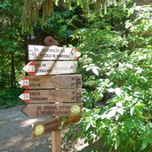 montiggler wald weg von rungg zu montiggler seen wegweiser radroute radweg