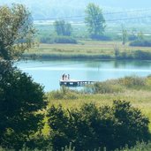 RS Kalterersee schwimmen steg Biotop