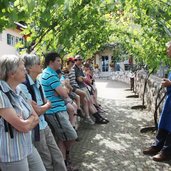 RS wein reben fuehrung lieselhof museum