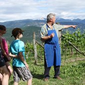 RS wein reben fuehrung lieselhof museum