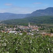 RS kaltern dorf apfelbluete fruehling