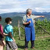 RS wein reben fuehrung lieselhof museum