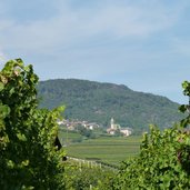 RS tramin weinberge und soell