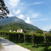 RS tramin schloss rechtental weinberge