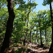 RS weg c gmund nach leuchtenburg aufstieg