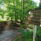 RS friedensweg rastenbachklamm wegweiser altenburg