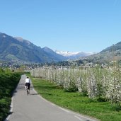 RS etschtal radweg bei sinich radfahrer