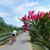 RS pista ciclabile garda arco dro ciclista