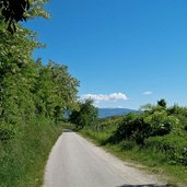 radweg kaltern ueberetscher spazierweg