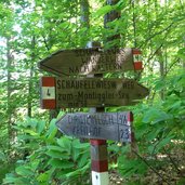 montiggl montiggler wald schaeufelewiesenweg nr wegweiser