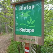 aldein biotop moeserwiesen