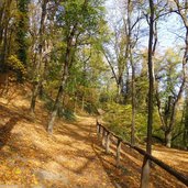 gleifweg eppan herbst