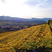 herbstlandschaft bei eppan