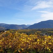 herbstlandschaft bei eppan blick richtung girlan