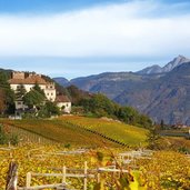 eppan berg weinberge blick richtung freudenstein herbst