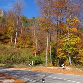 mendelstrasse bei matschatsch herbst