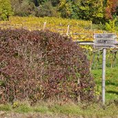 zugang zum hoehenweg von kalterer hoehe