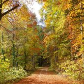 kalterer hoehenweg bei matschatsch richtung sueden