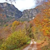 kalterer hoehenweg richtung mendelbahn