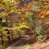 kalterer hoehenweg richtung mendelbahn