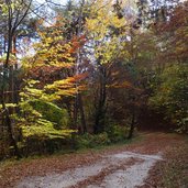 weg c kalterer hoehenweg abstieg nach st anton