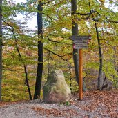 weg c kalterer hoehenweg abstieg nach st anton