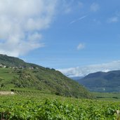 weg tramin nach soell weinberge richtung kalterersee