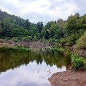 langmoos weiher see im montiggler wald