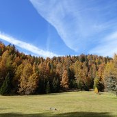 prinzwiesen herbst