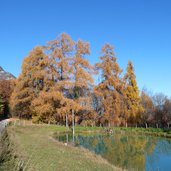 kurtatsch graun zogglersee zogglerwiese