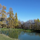 zogglersee graun