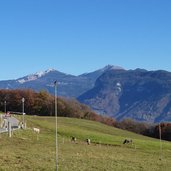 graun kurtatsch herbstwiesen