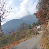 weg zogglerwiese nach soell tramin herbst