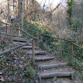 fruehlingstal maerzenbecher wanderweg stufen