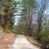 forstweg kalterer hoehenweg