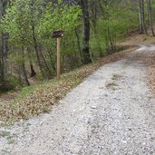 kalterer hoehenweg april