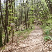 weg f nach altenburg kaltern