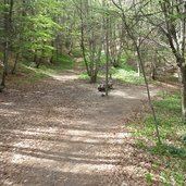 wanderweg altenburg kaltern