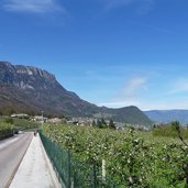 fussweg sportzone altenburger wald nach kaltern st anton obstbluete