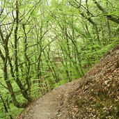 eppaner hoehenweg richtung mendelstrasse