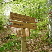 weg nr abstieg von matschatsch zu gh steinegger