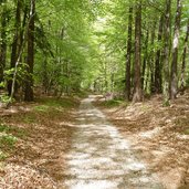 weg nr abstieg von matschatsch zu gh steinegger